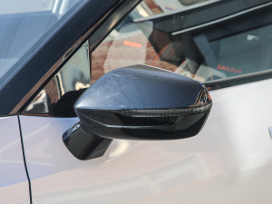 2020款1.5L 手动智能豪华型 细节外观