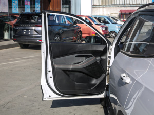 2020款1.5L 手动智能豪华型 驾驶位车门