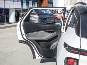 2020款1.5L 手动智能豪华型 左后车门