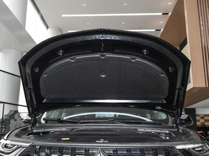 2021款1.5T CVT 智能尊贵型 7座 其它