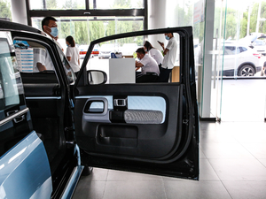 2020Plus 305km Hа g