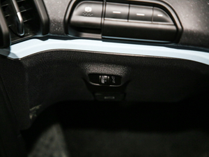 2020Plus 305km Hа g