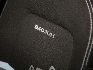 2020Plus 305km Hа g