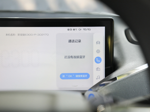 2020款Plus 305km 星际智趣版 中控区