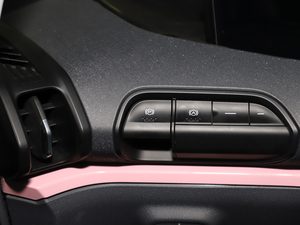 2020款305km 星际智趣版 驻车制动器