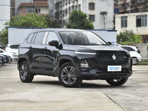 2021款PHEV 基本型 整体外观