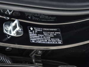 2021款PHEV 基本型 其它