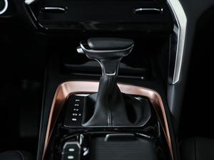 2020300T CVT Ş п؅^(q)