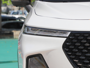 2020300T CVT Ş (x)(ji)^