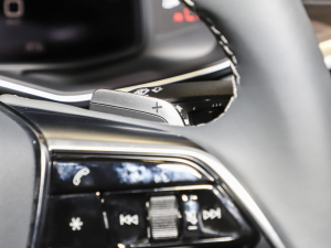 2022��45 TFSI quattro S-line Ҋ�h���������b �п؅^