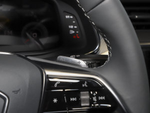 2022��45 TFSI S-line ����δ���� �п؅^