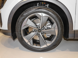 202240 e-tron ҫ \b ݆Ȧ