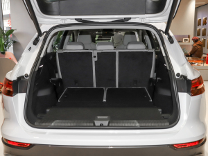 202240 e-tron ҫ \b g