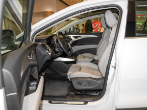 202240 e-tron ҫ \b ǰſg