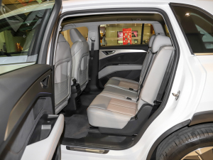 202240 e-tron ҫ \b ſg