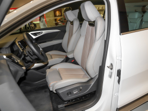 202240 e-tron ҫ \b {