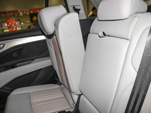 202240 e-tron ҫ \b g