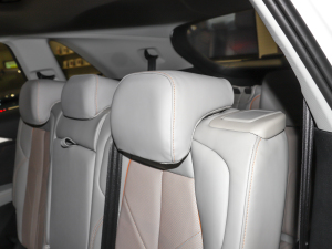 202240 e-tron ҫ \b g