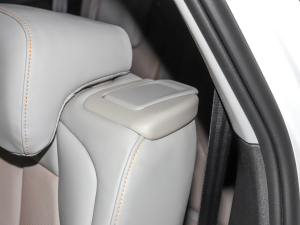 202240 e-tron ҫ \b g