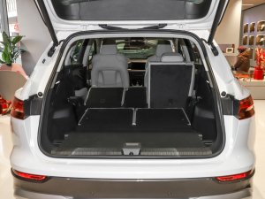 202240 e-tron ҫ \b g