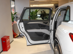 202240 e-tron ҫ \b ܇T