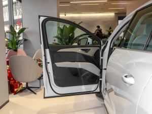 202240 e-tron ҫ \b {λ܇T