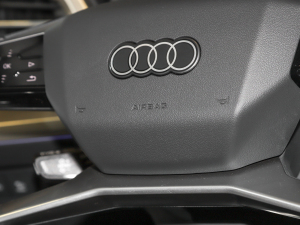 202240 e-tron ҫ \b п؅^