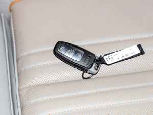 202240 e-tron ҫ \b ܇耳