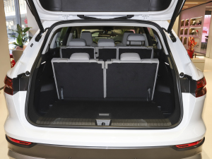 202240 e-tron ҫ \b g