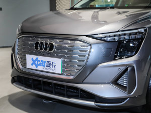 202250 e-tron quattro sҫ \b  (x)(ji)^