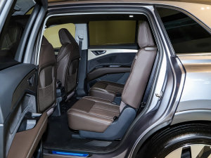 202250 e-tron quattro sҫ \b  ſg