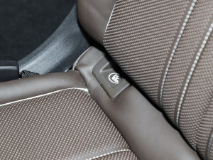 202250 e-tron quattro sҫ \b  g