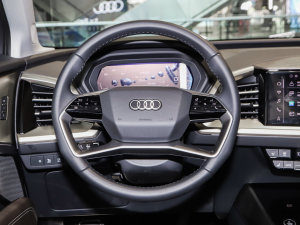 202250 e-tron quattro sҫ \b  P