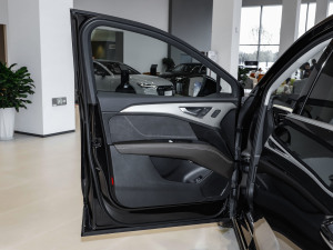 2024款50 e-tron quattro 光耀型 锦衣套装 中控区