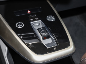 2024款50 e-tron quattro 光耀型 锦衣套装 中控区
