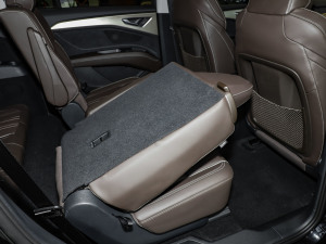 202450 e-tron quattro ҫ \b g