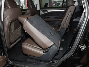 202450 e-tron quattro ҫ \b g