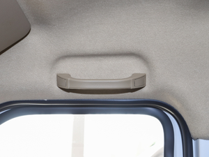 2020Lm(x) 41.86kWh g