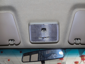 2020Lm(x) 41.86kWh g