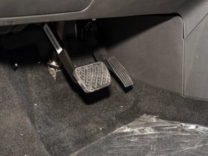 20227 450(bio)(zhn) п؅^(q)