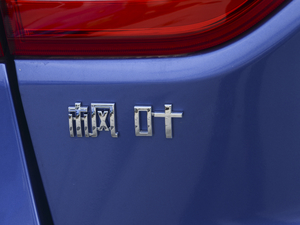 2020款风云版  细节外观