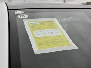 2024款605km 荣耀版 其它