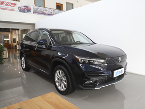 2020款520km 净心智慧版 整体外观
