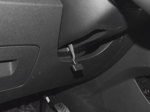 2021520 (bio)(zhn) п؅^(q)