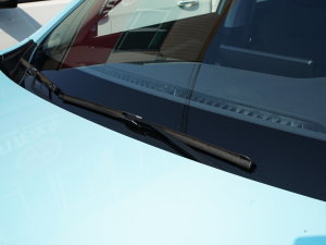 2022620 (bio)(zhn) ˢ