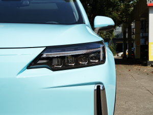 2022620 (bio)(zhn) (x)(ji)^