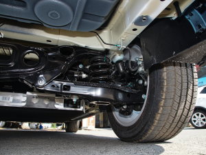 2022620 (bio)(zhn) (x)(ji)^