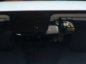 2022620 (bio)(zhn) (x)(ji)^