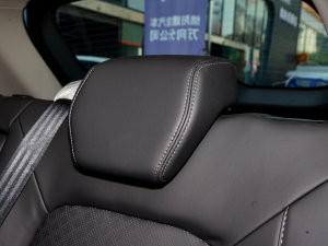 2022620 (bio)(zhn) g