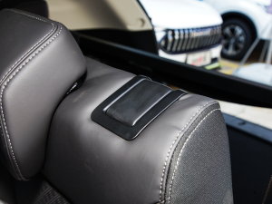 2022620 (bio)(zhn) g